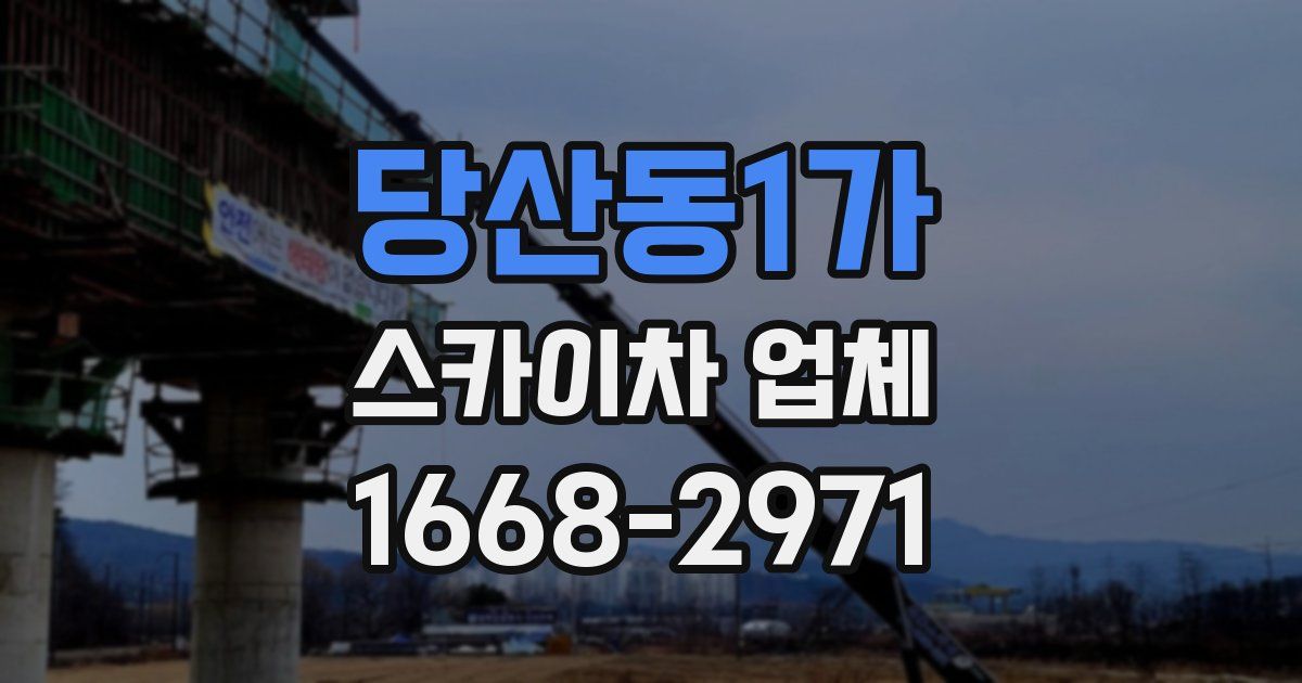 당산동1가 스카이차 업체