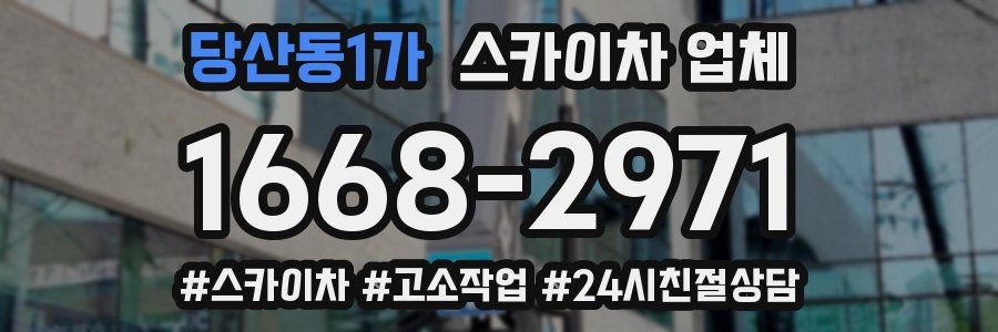 당산동1가 스카이차 업체