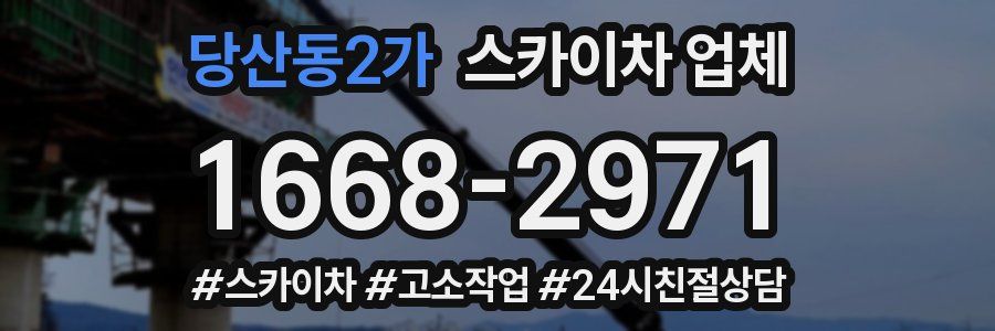 당산동2가 스카이차 업체