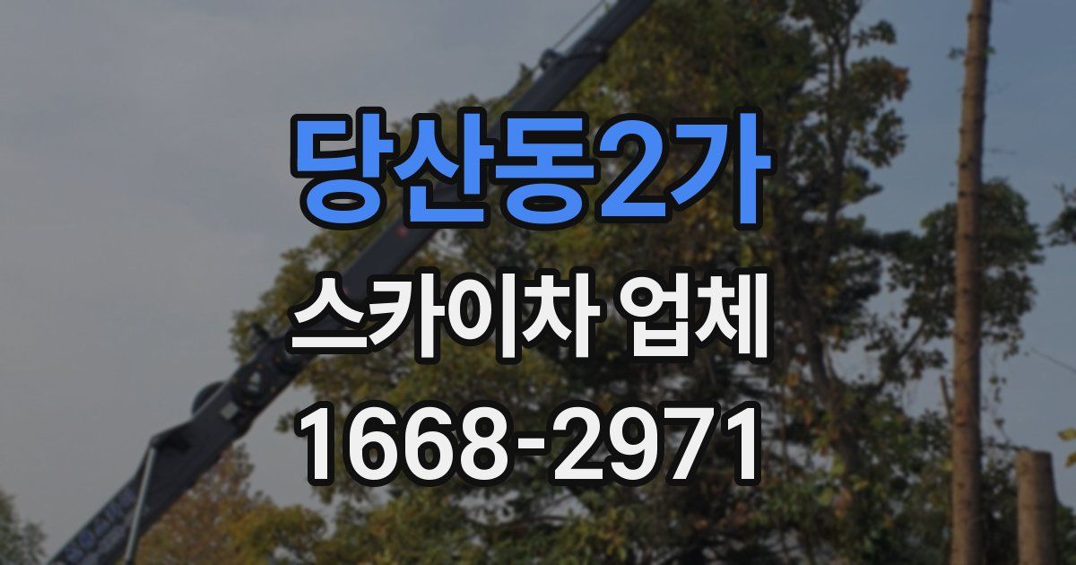 당산동2가 스카이차 업체