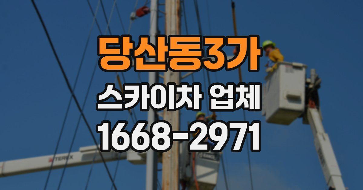 당산동3가 스카이차 업체