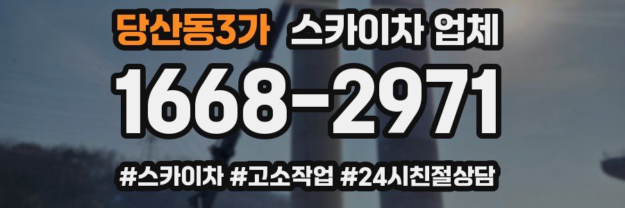 당산동3가 스카이차 업체