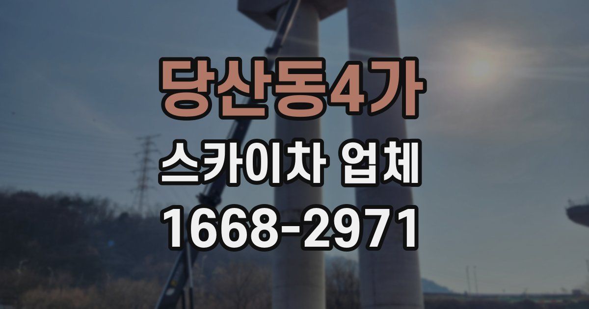 당산동4가 스카이차 업체