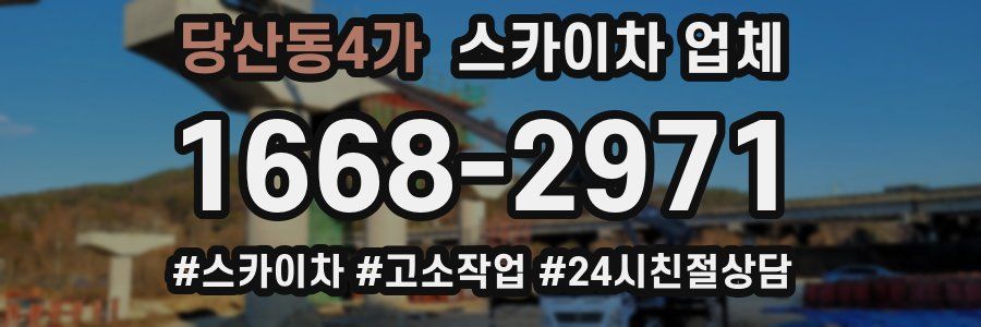 당산동4가 스카이차 업체