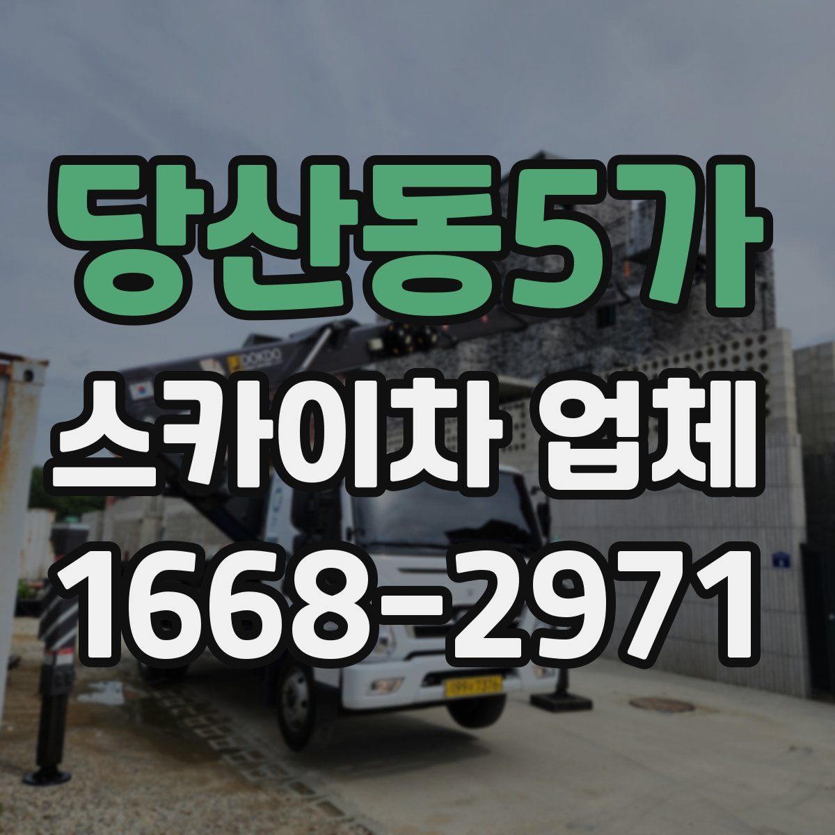 당산동5가 스카이차 업체