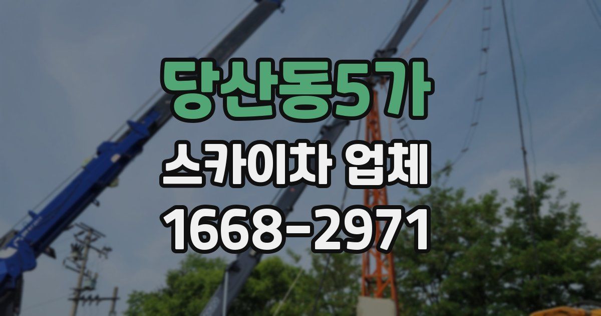 당산동5가 스카이차 업체