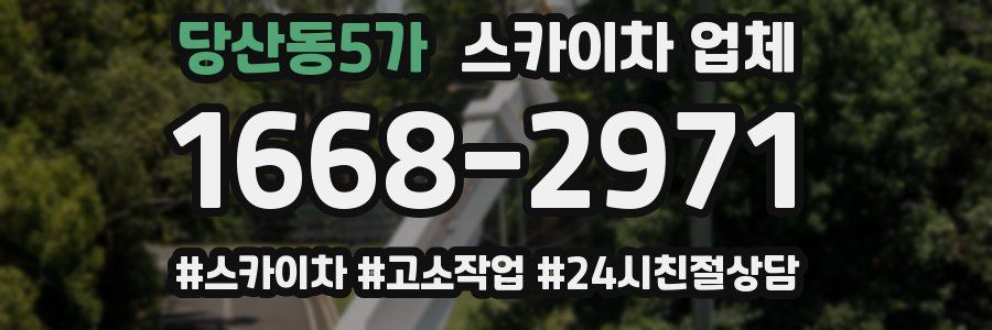 당산동5가 스카이차 업체