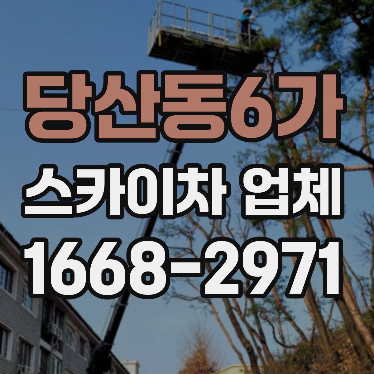 당산동6가 스카이차 업체