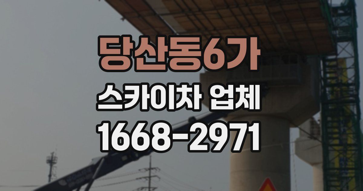 당산동6가 스카이차 업체