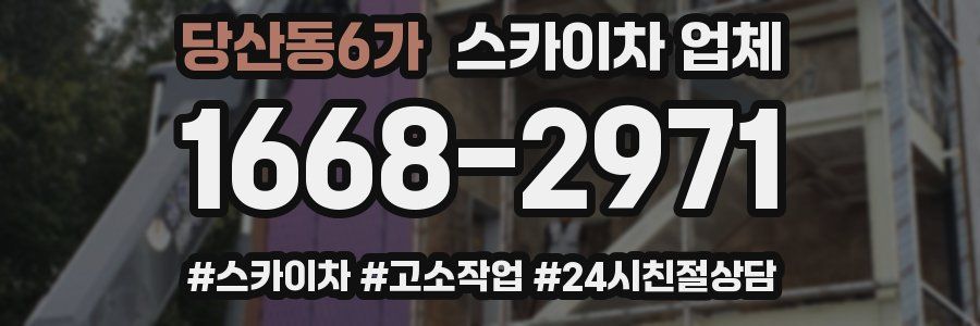 당산동6가 스카이차 업체