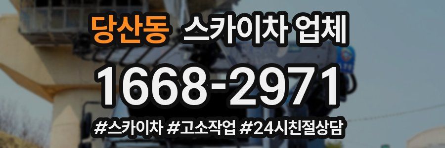 당산동 스카이차 업체