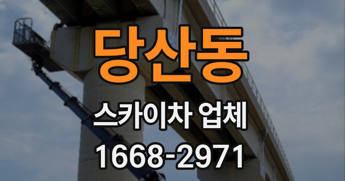 당산동 스카이차 업체