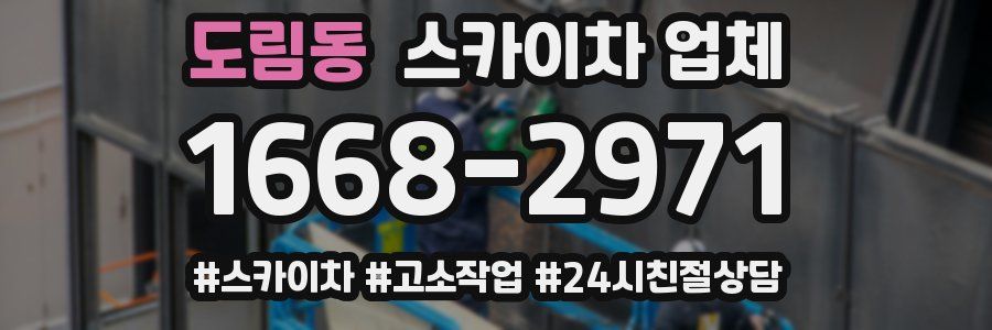 도림동 스카이차 업체
