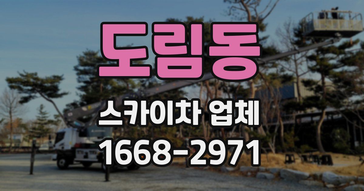 도림동 스카이차 업체
