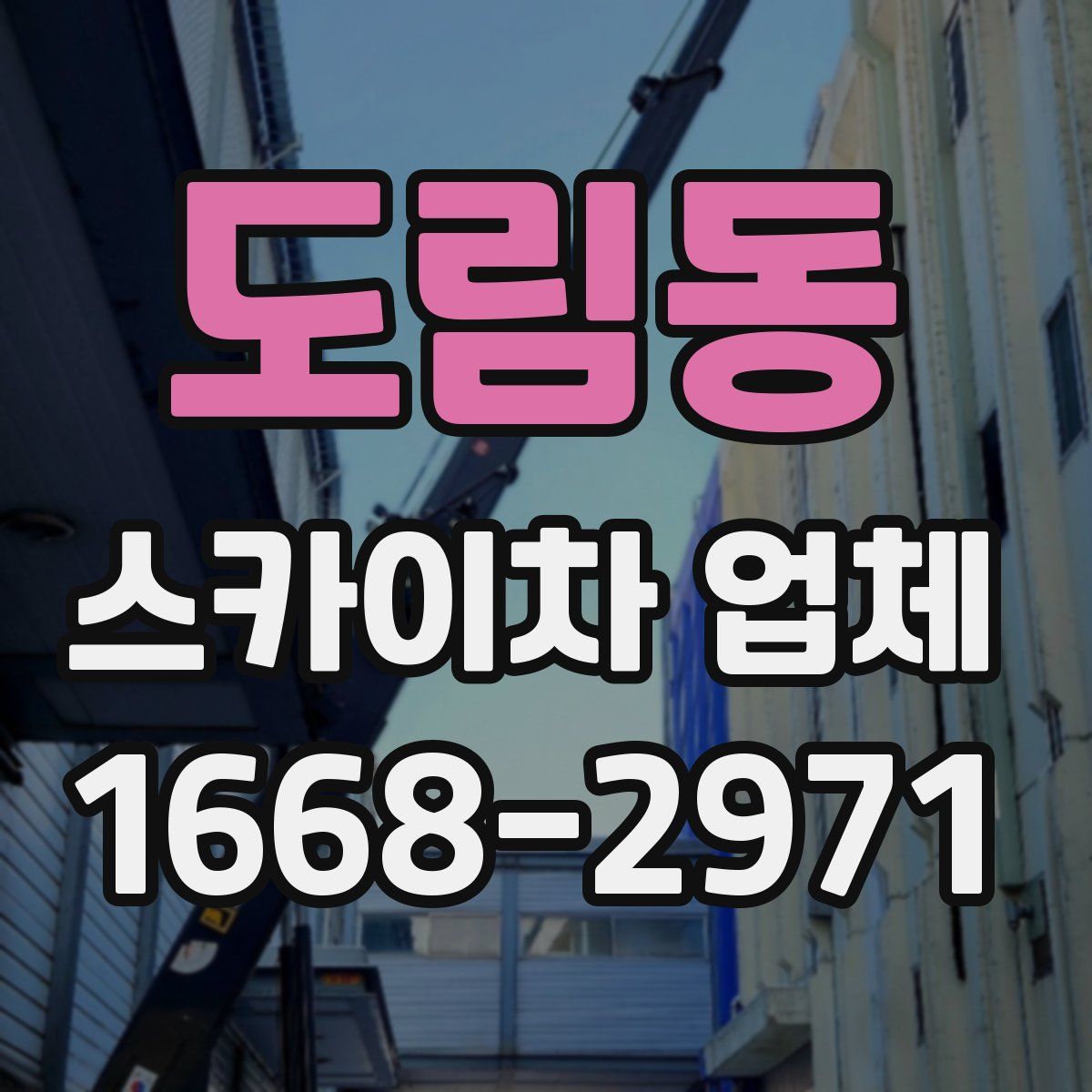 도림동 스카이차 업체