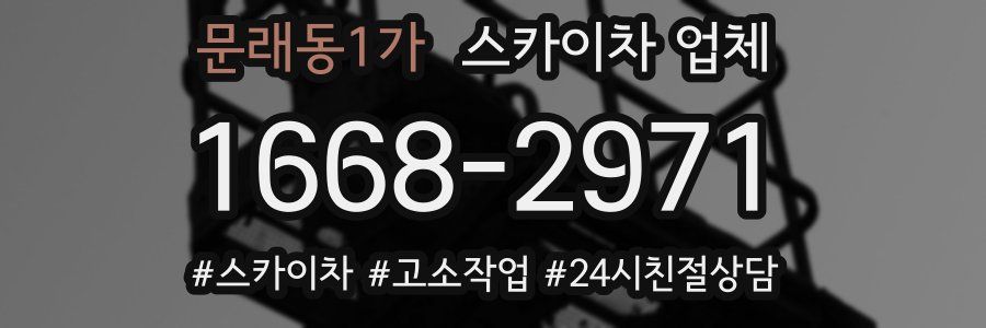문래동1가 스카이차 업체