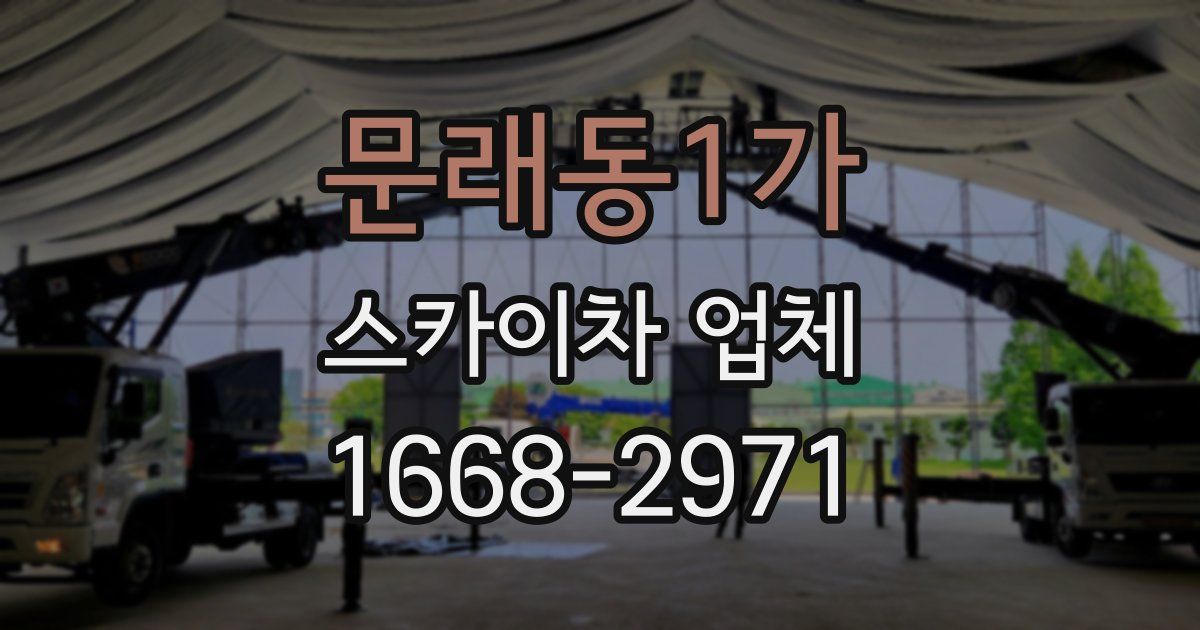 문래동1가 스카이차 업체