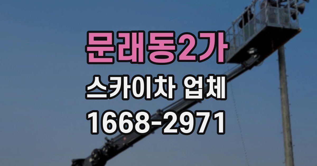 문래동2가 스카이차 업체