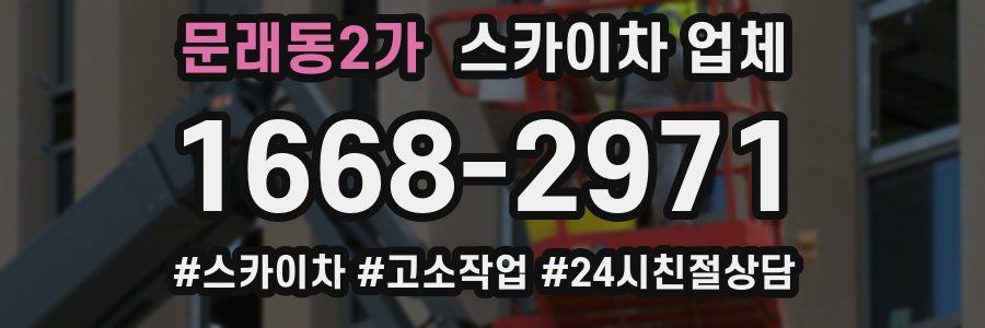 문래동2가 스카이차 업체