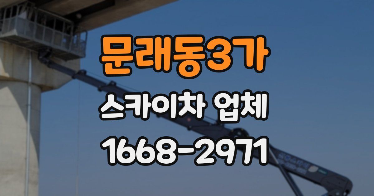 문래동3가 스카이차 업체
