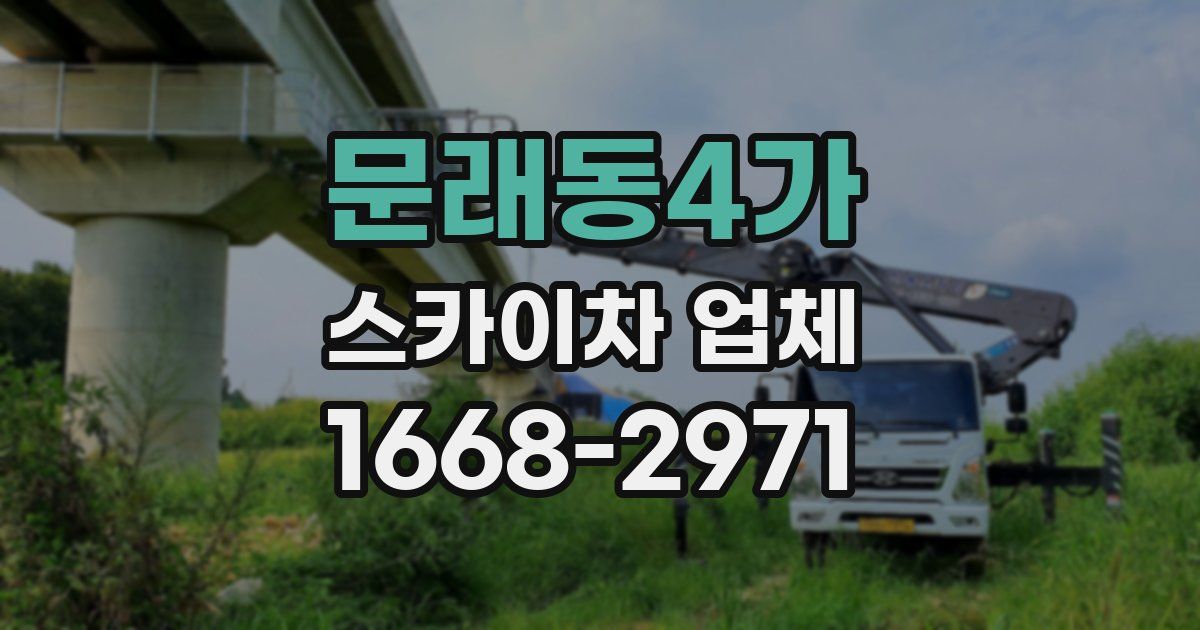 문래동4가 스카이차 업체
