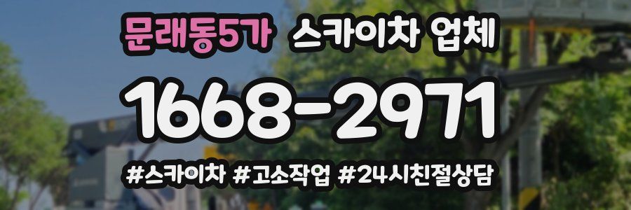 문래동5가 스카이차 업체