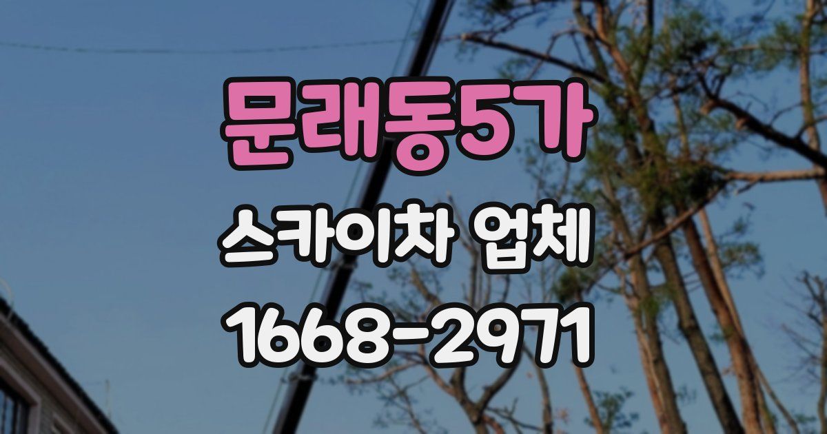문래동5가 스카이차 업체