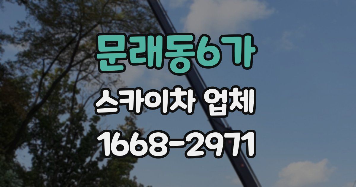문래동6가 스카이차 업체