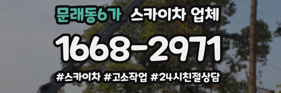 문래동6가 스카이차 업체