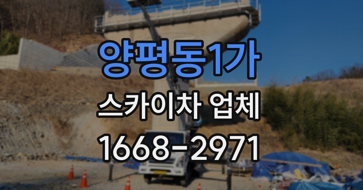양평동1가 스카이차 업체