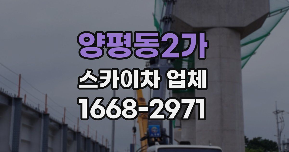 양평동2가 스카이차 업체