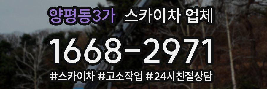 양평동3가 스카이차 업체