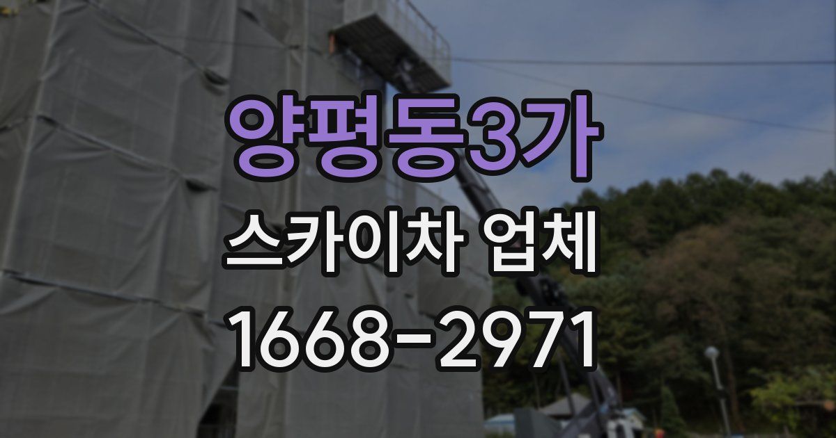 양평동3가 스카이차 업체