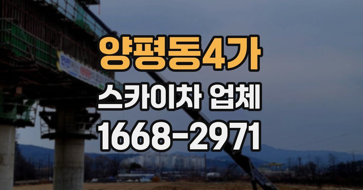 양평동4가 스카이차 업체