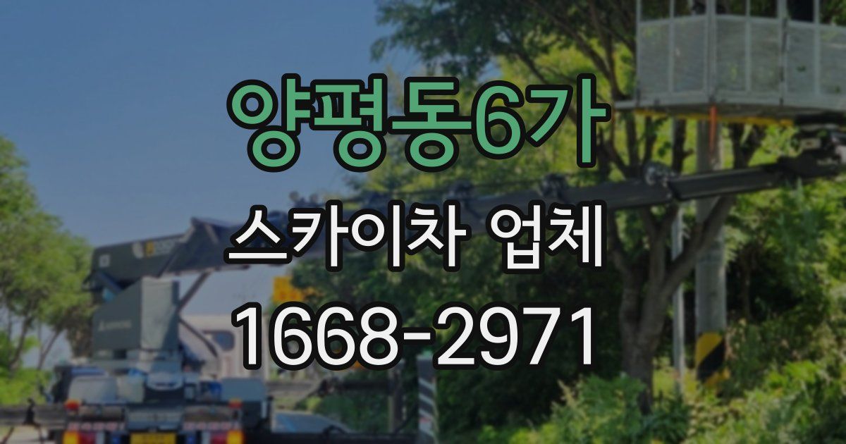 양평동6가 스카이차 업체