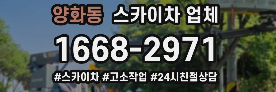 양화동 스카이차 업체
