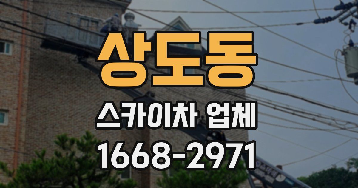 상도동 스카이차 업체