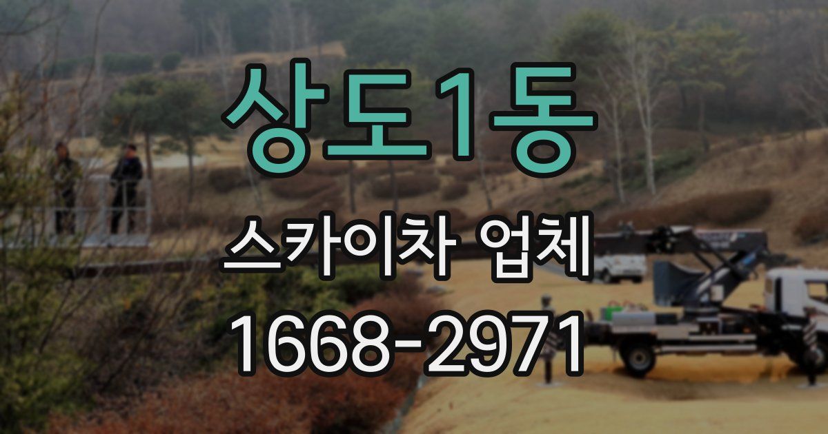상도1동 스카이차 업체
