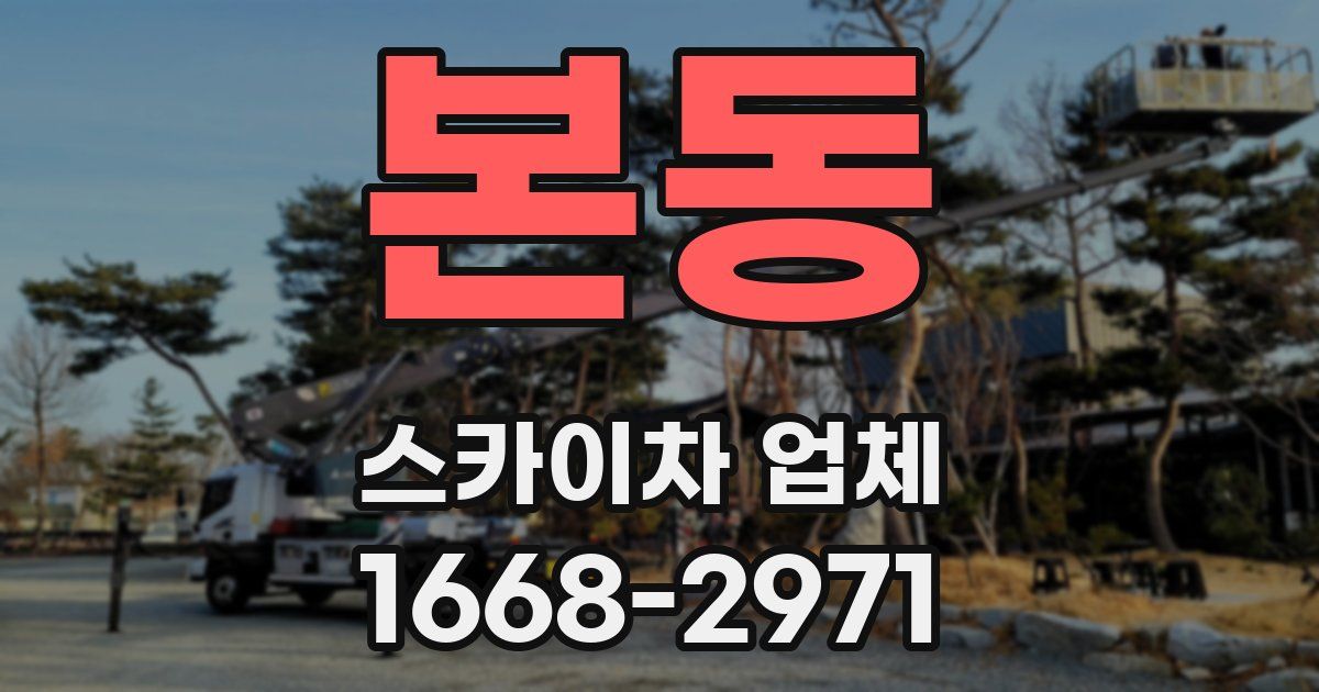 본동 스카이차 업체