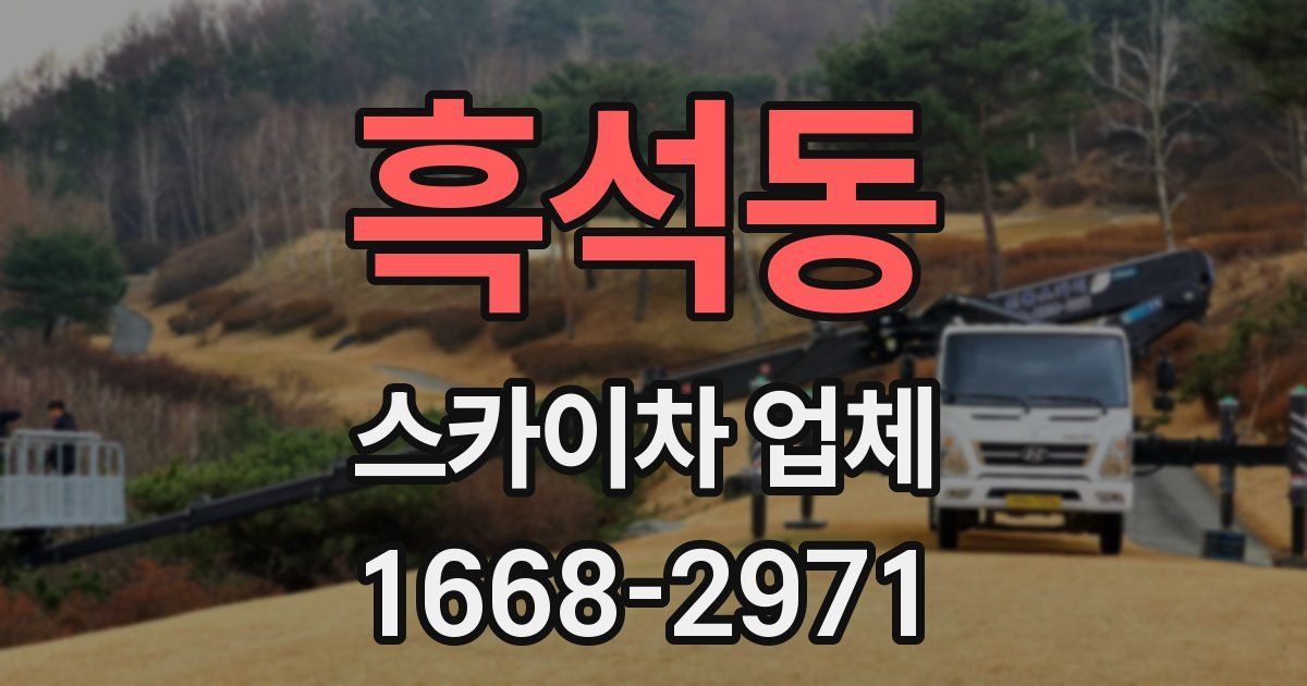 흑석동 스카이차 업체