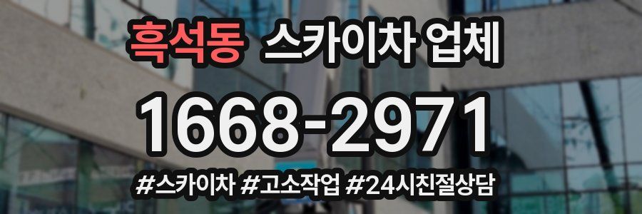 흑석동 스카이차 업체
