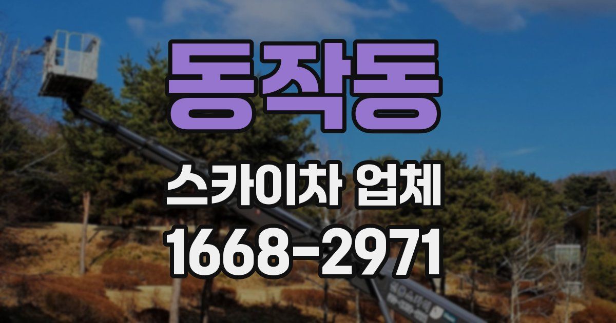 동작동 스카이차 업체