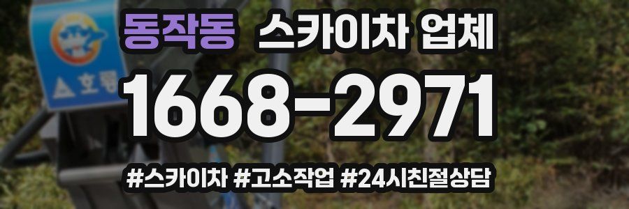 동작동 스카이차 업체
