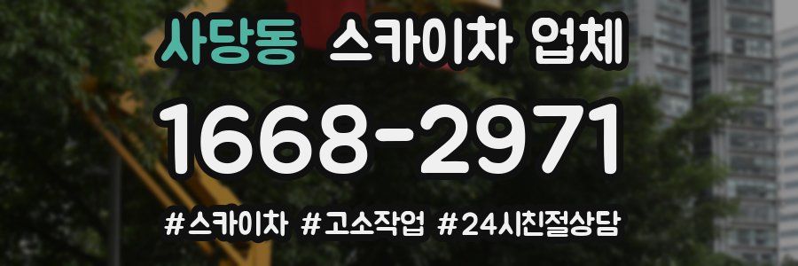 사당동 스카이차 업체