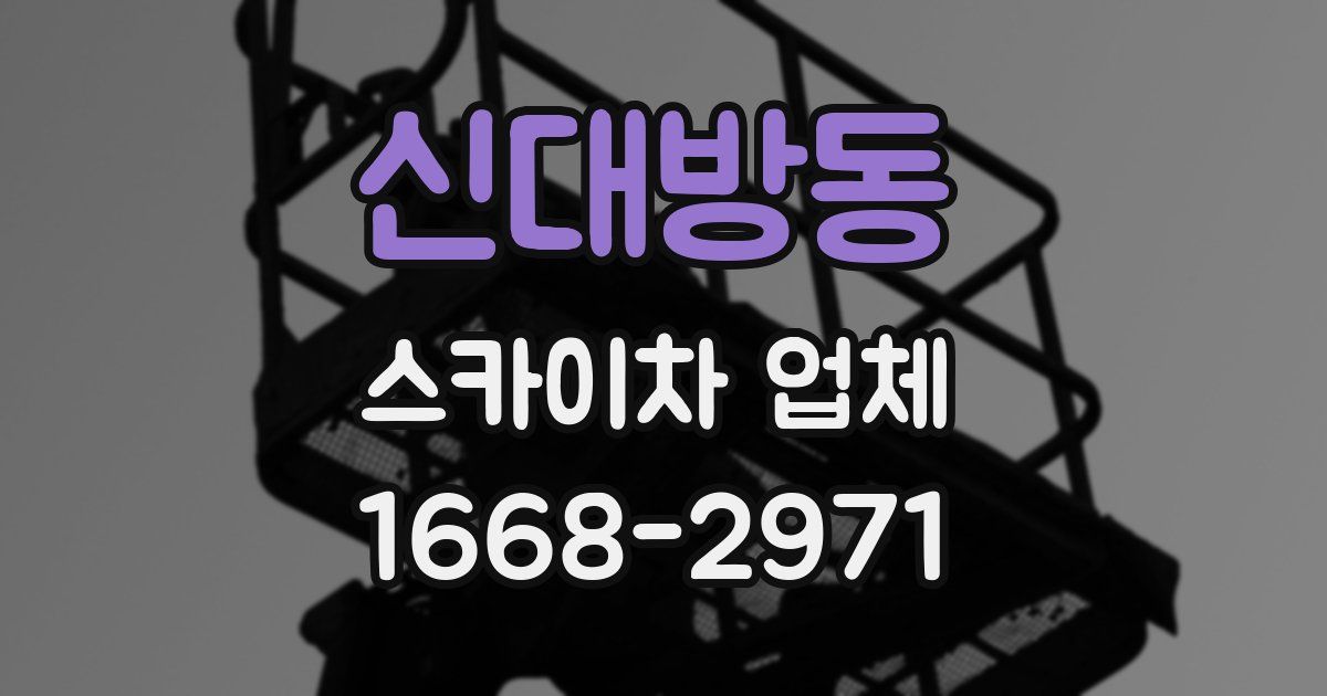 신대방동 스카이차 업체