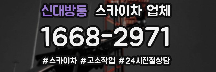신대방동 스카이차 업체