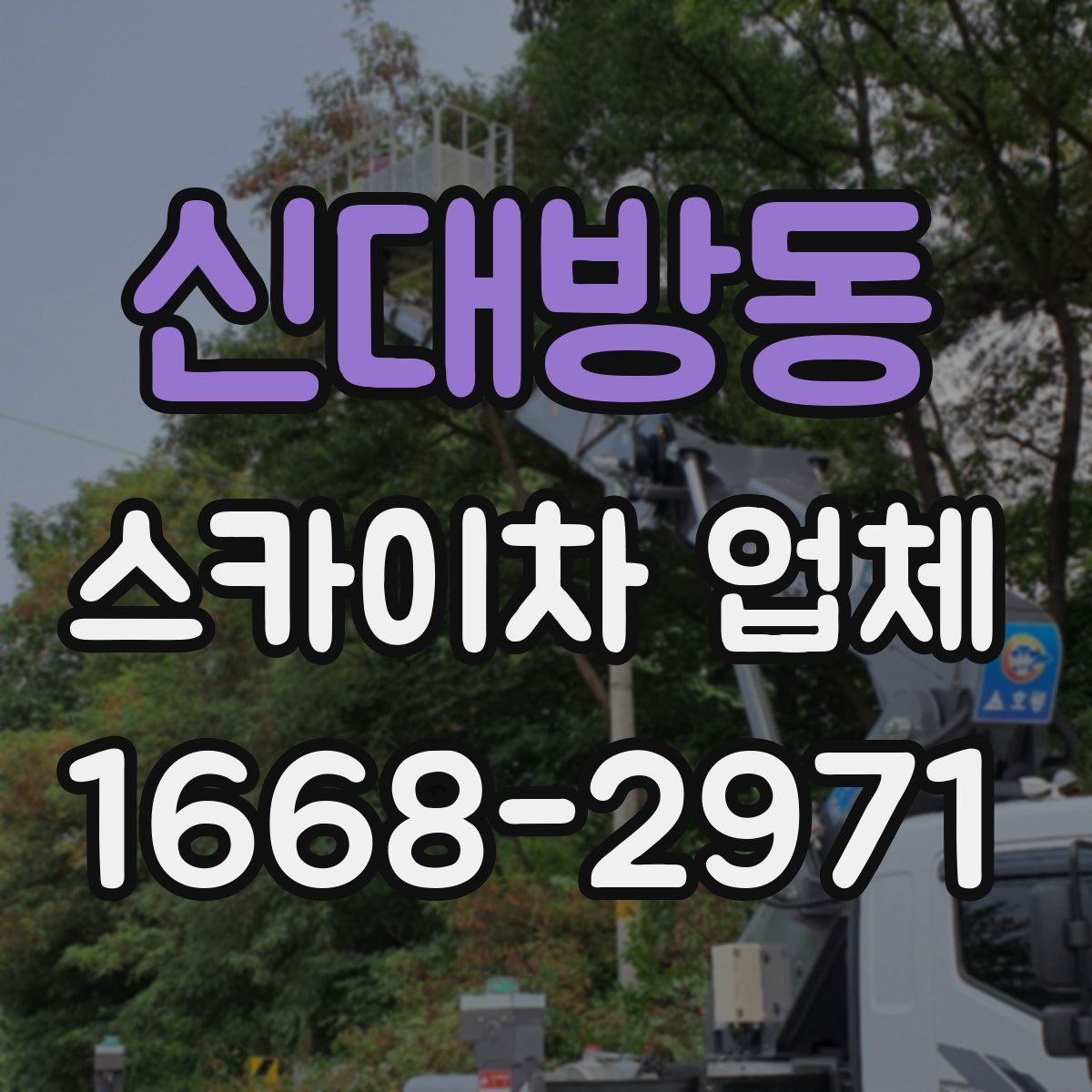 신대방동 스카이차 업체