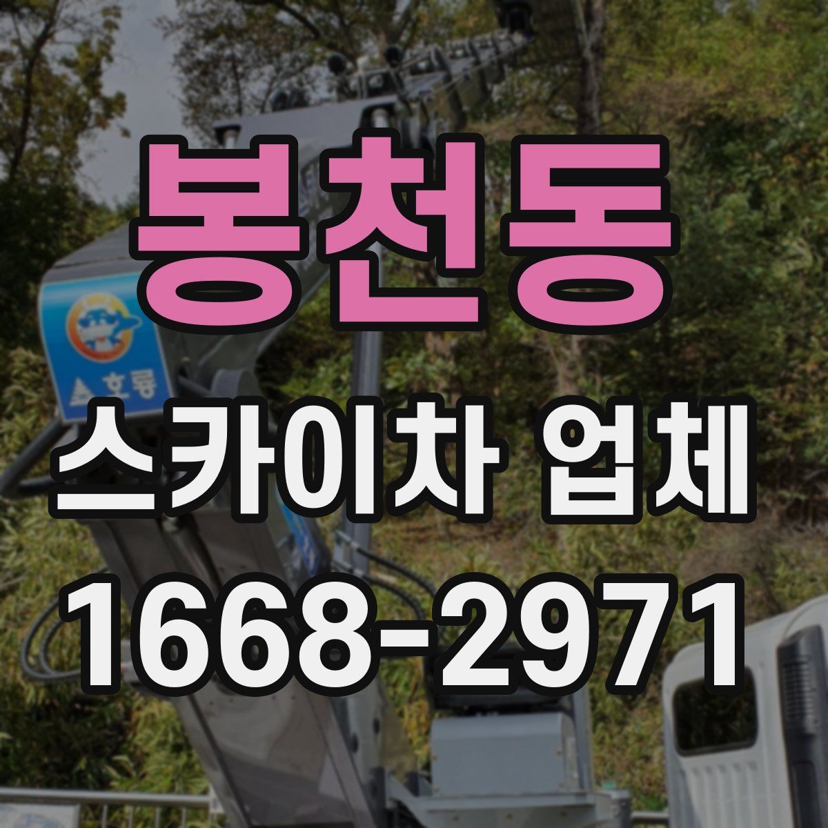 봉천동 스카이차 업체