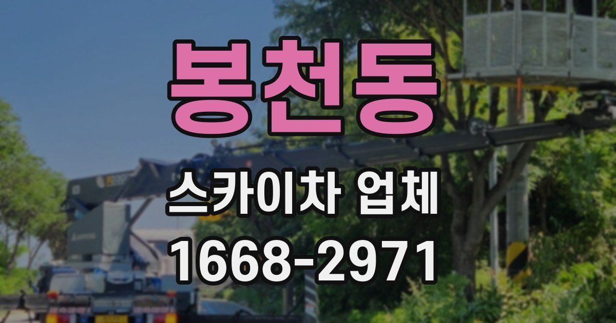 봉천동 스카이차 업체