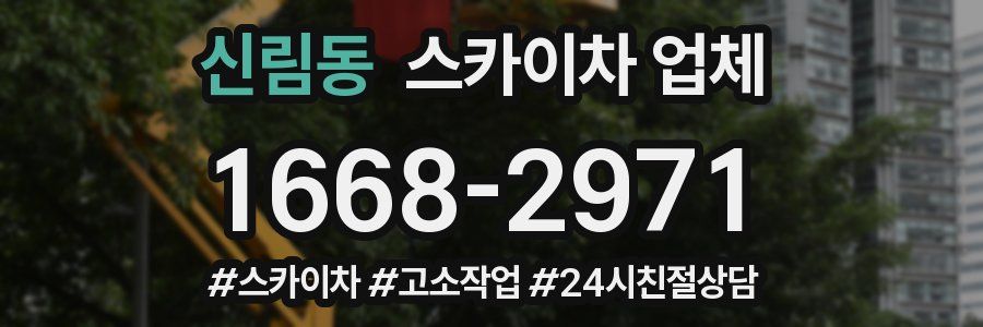 신림동 스카이차 업체